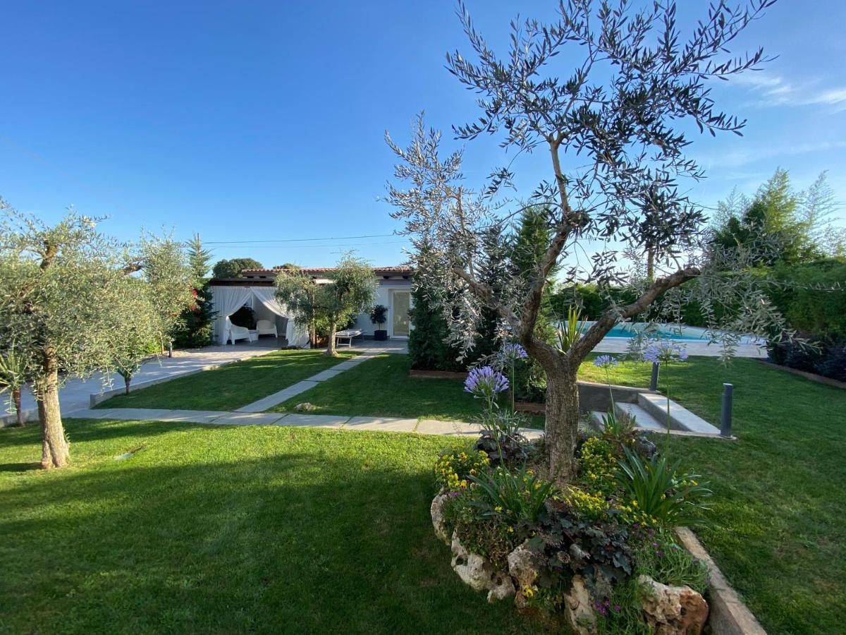 مبيت وإفطار كاستلْنْيوفو ديل غارد Mincio Relais المظهر الخارجي الصورة